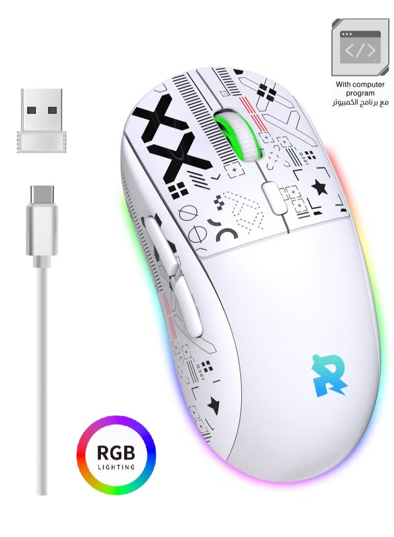 Gaming Mouse, Wired/Wireless/Bluetooth Tri Modes, Wireless Mouse for Laptop, Portable Type C Charging 5 Level DPI Mouse with 12 RGB Lighting Modes